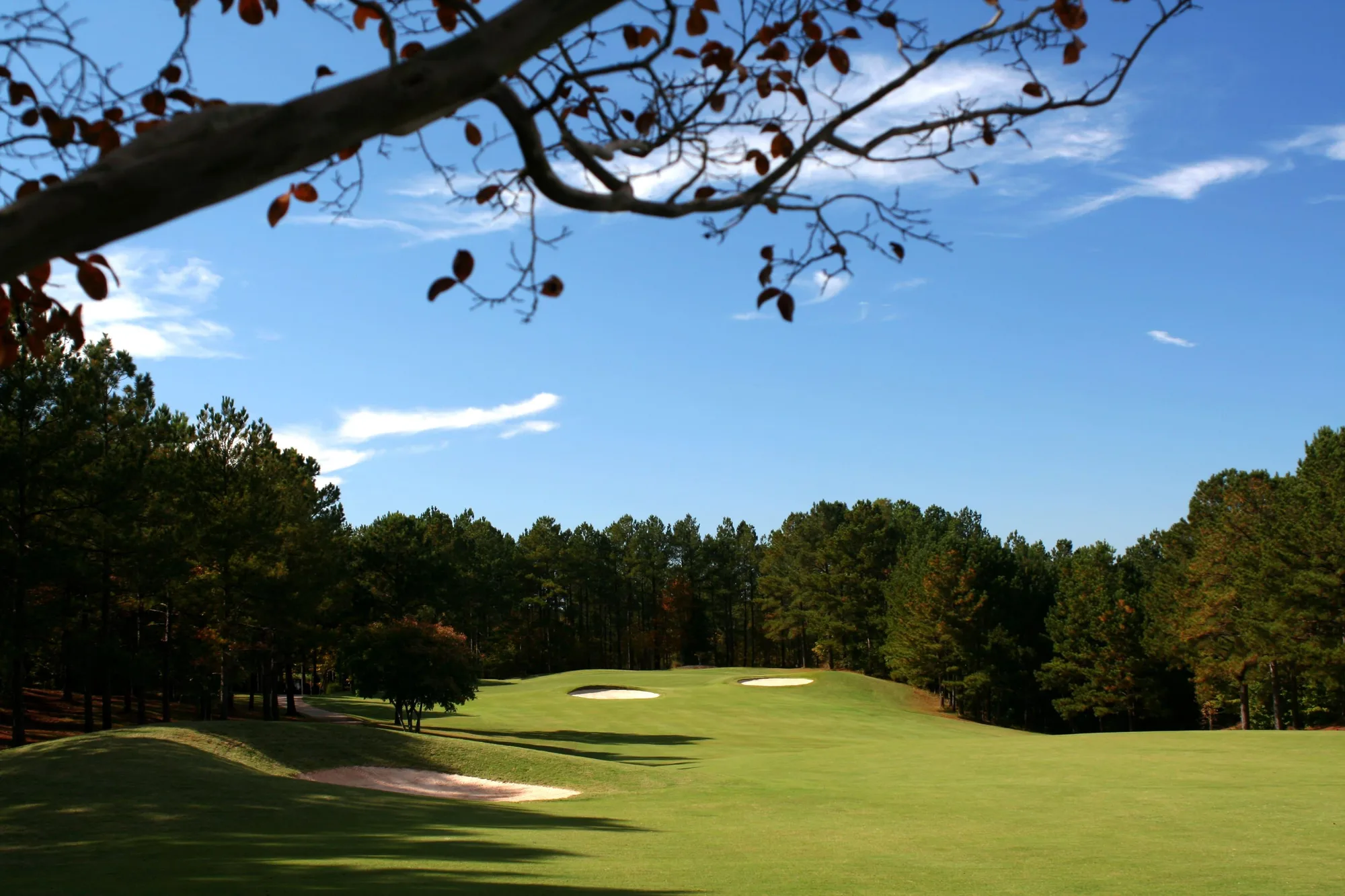 Tara Golf Club course photograph