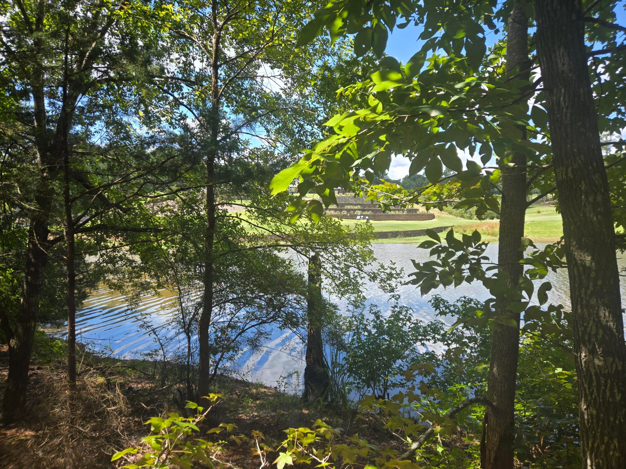 Listing photograph 8 of 110 Old Course Lane