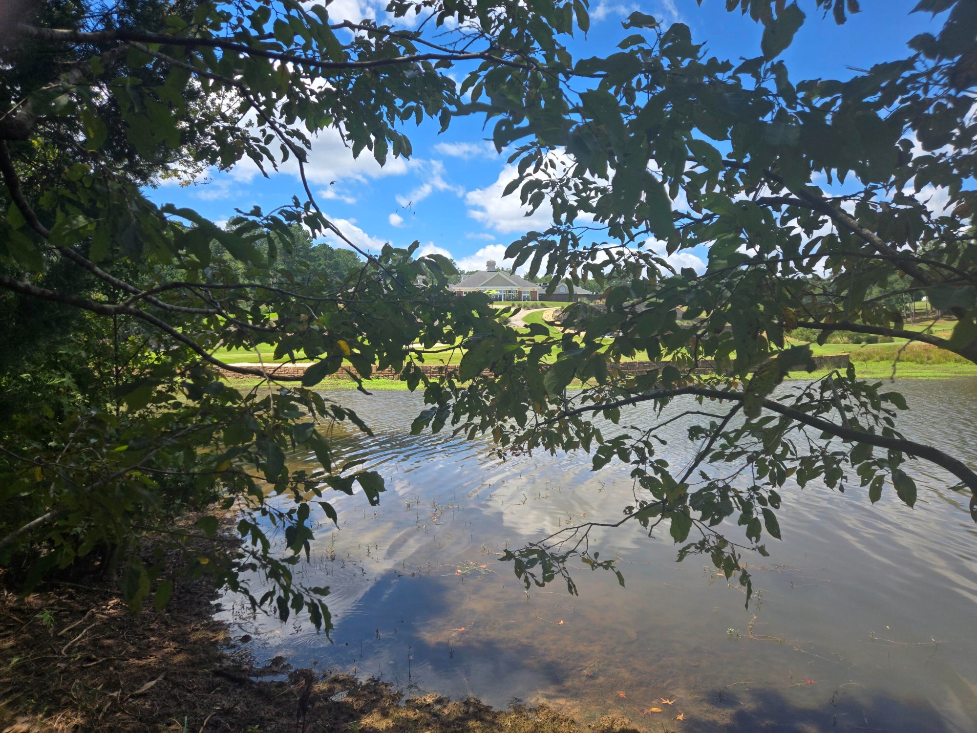 Listing photograph 7 of 110 Old Course Lane