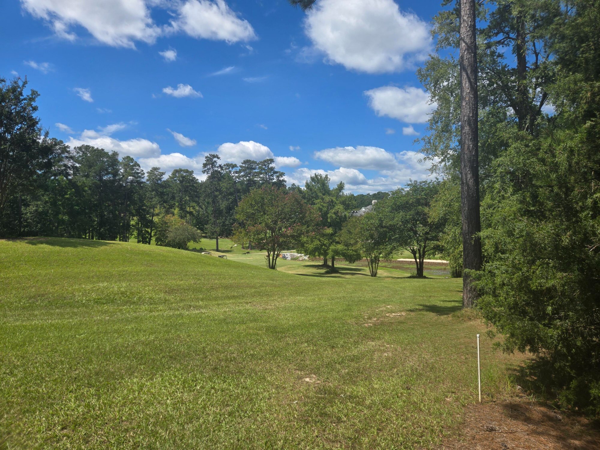 Listing photograph 5 of 110 Old Course Lane