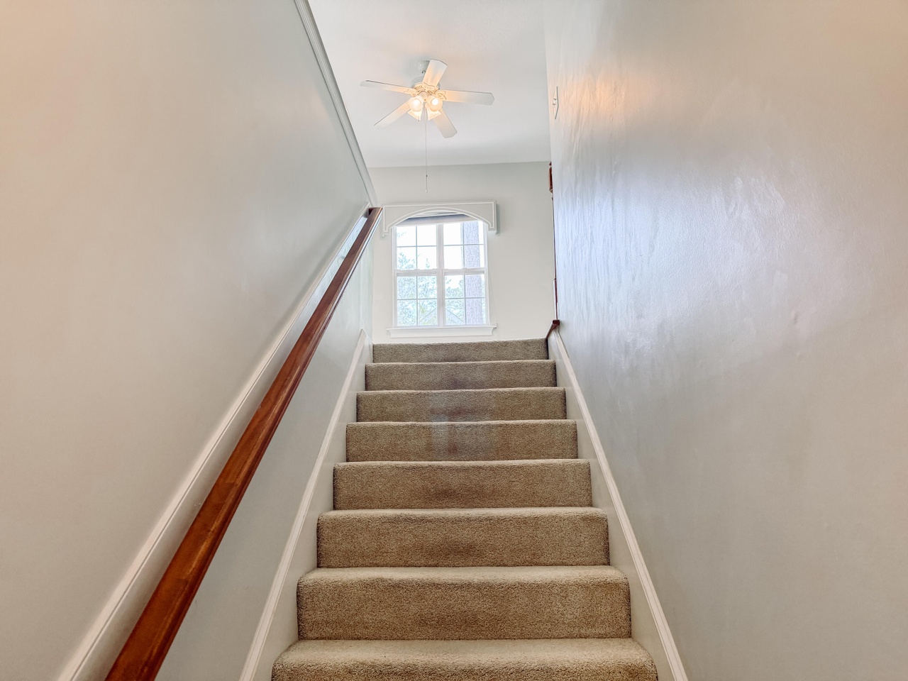 Listing photograph 21 of 174 Tara Drive