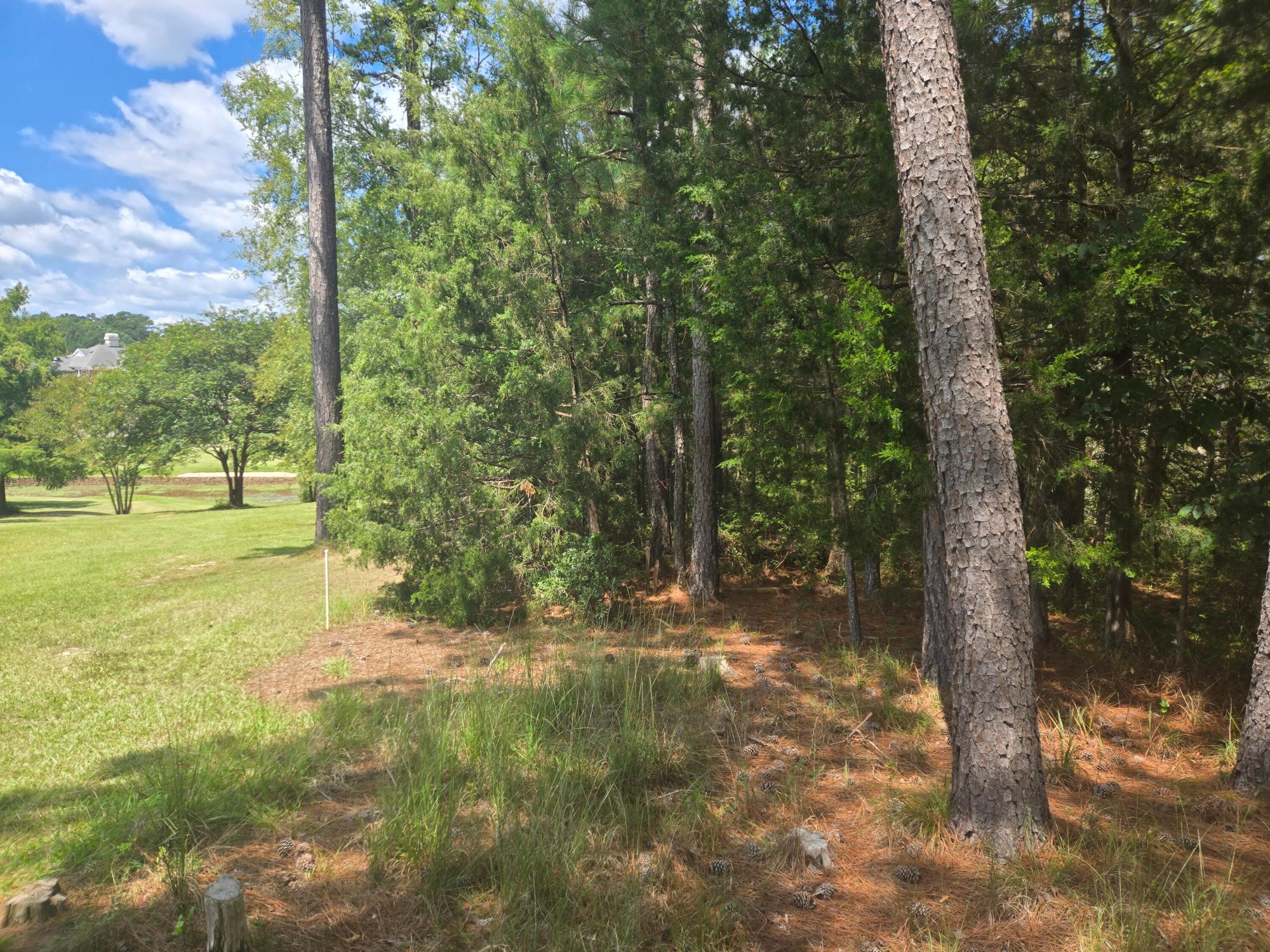 Listing photograph 3 of 110 Old Course Lane
